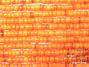 Orange Heishi Shell Beads